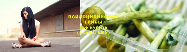 ALPHA PVP Киреевск
