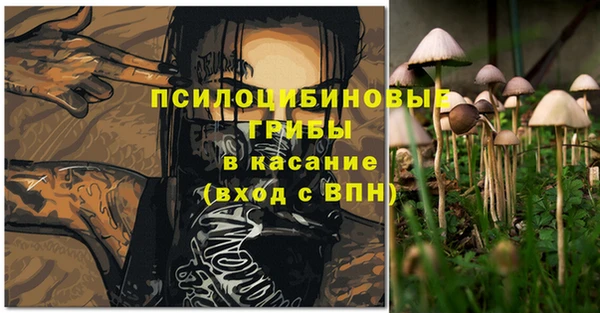 мяу мяу мука Кинешма