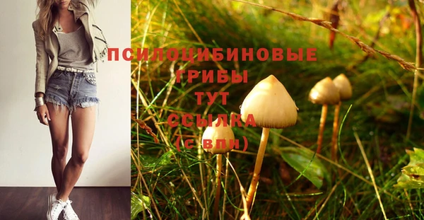 ALPHA PVP Киреевск