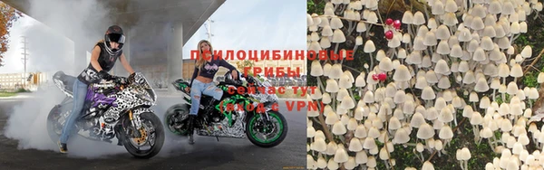 мяу мяу мука Кинешма