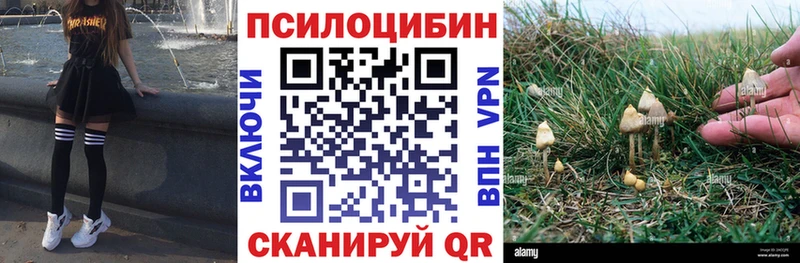 Галлюциногенные грибы Psilocybine cubensis  купить наркотик  Клинцы 